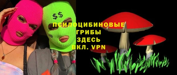 крисы Елизово