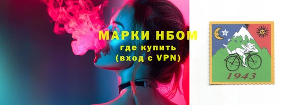 крисы Елизово