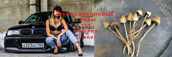 кокаин VHQ Ельня