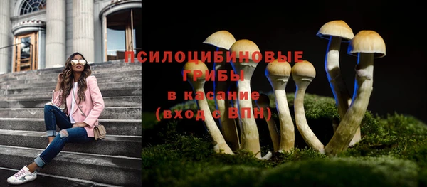 ALPHA PVP Елабуга